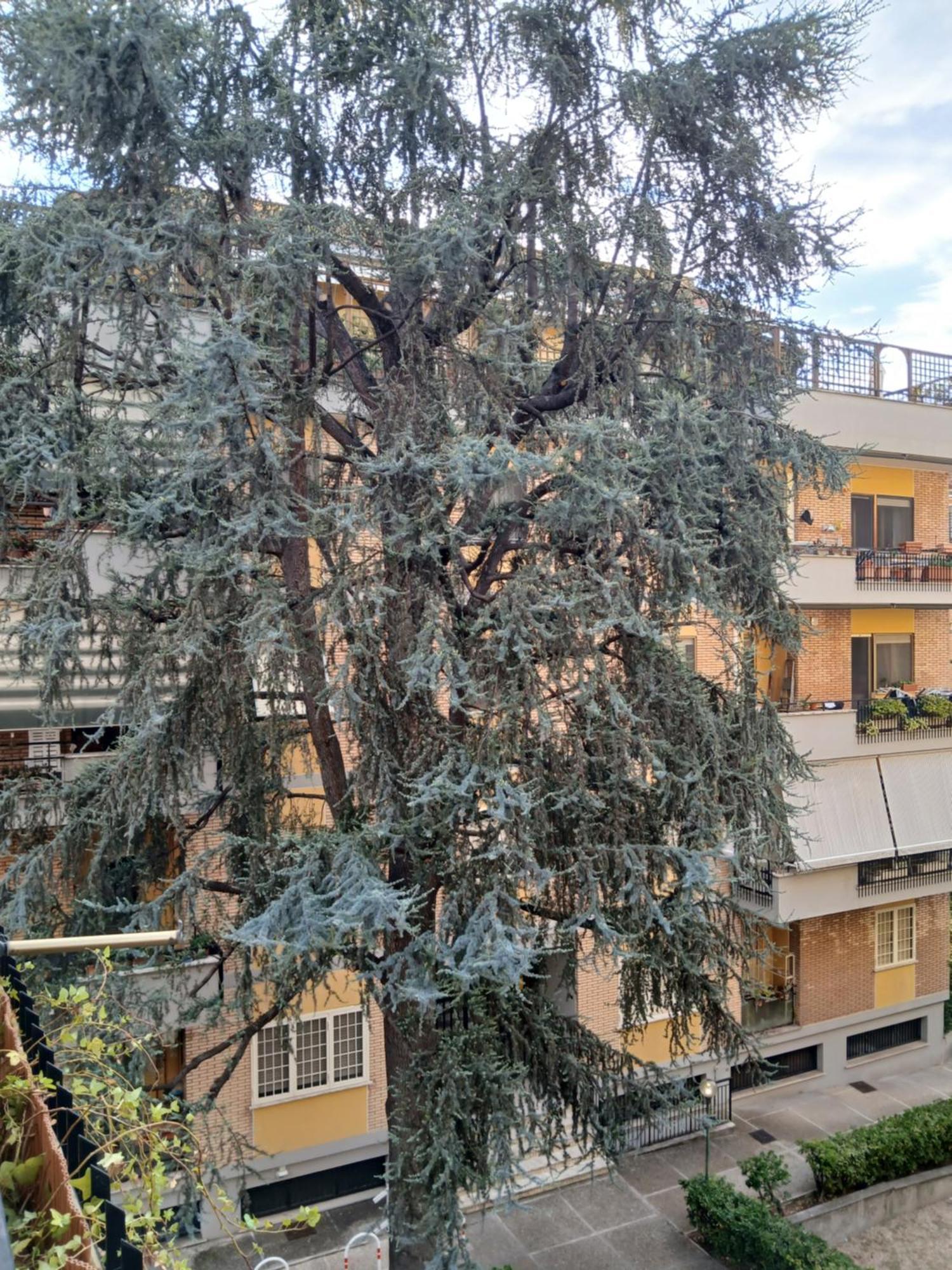 ローマLa Casa Di Antonella E Giuseppeアパートメント エクステリア 写真